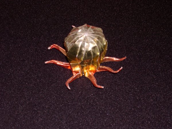 octopus