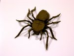 spider