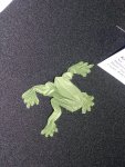 tree frog