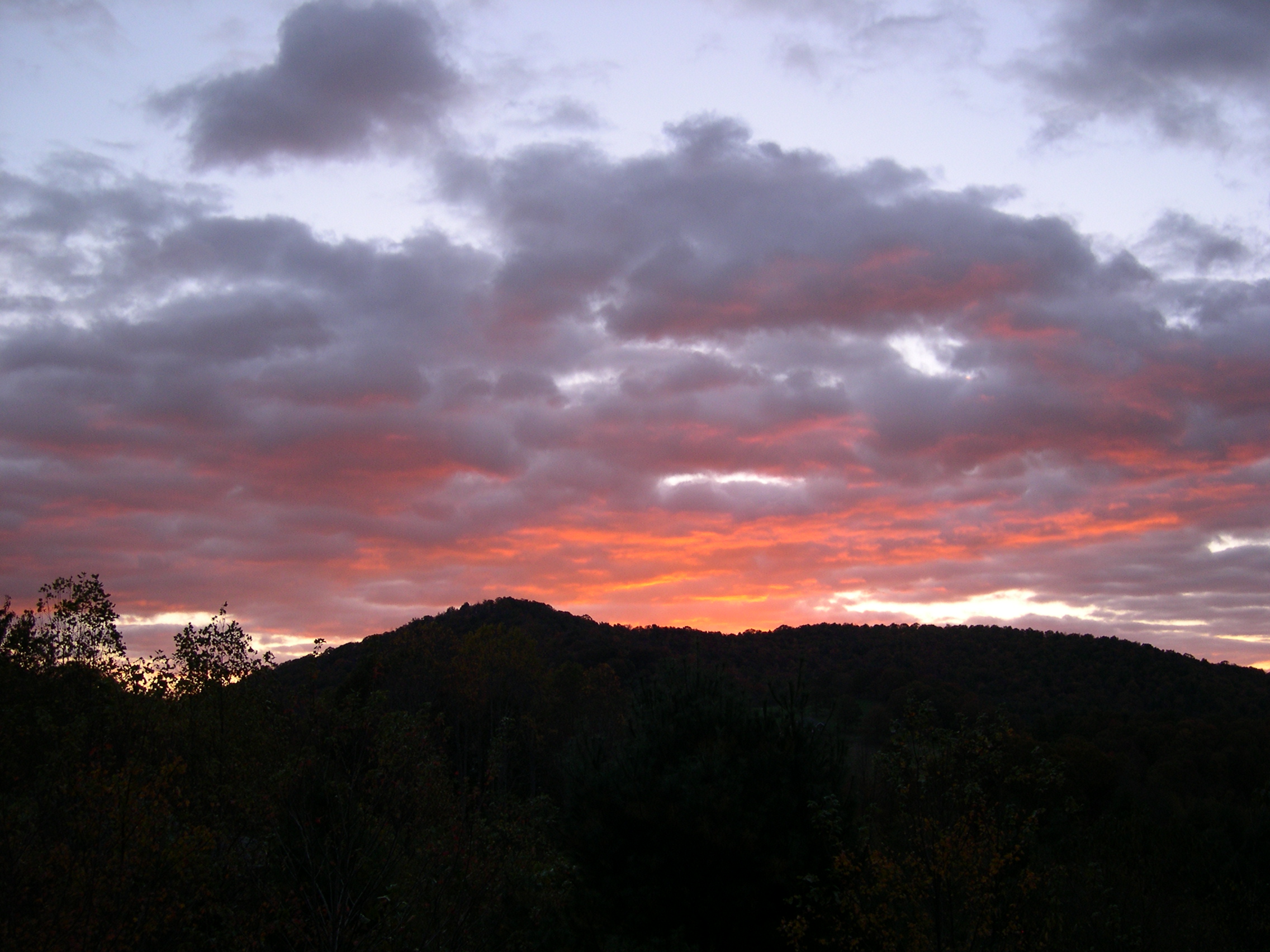 DSCN2895.JPG