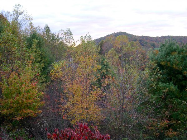 DSCN2906.JPG