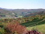 Grandview Overlook