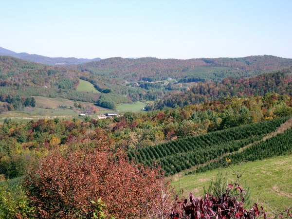 Grandview Overlook