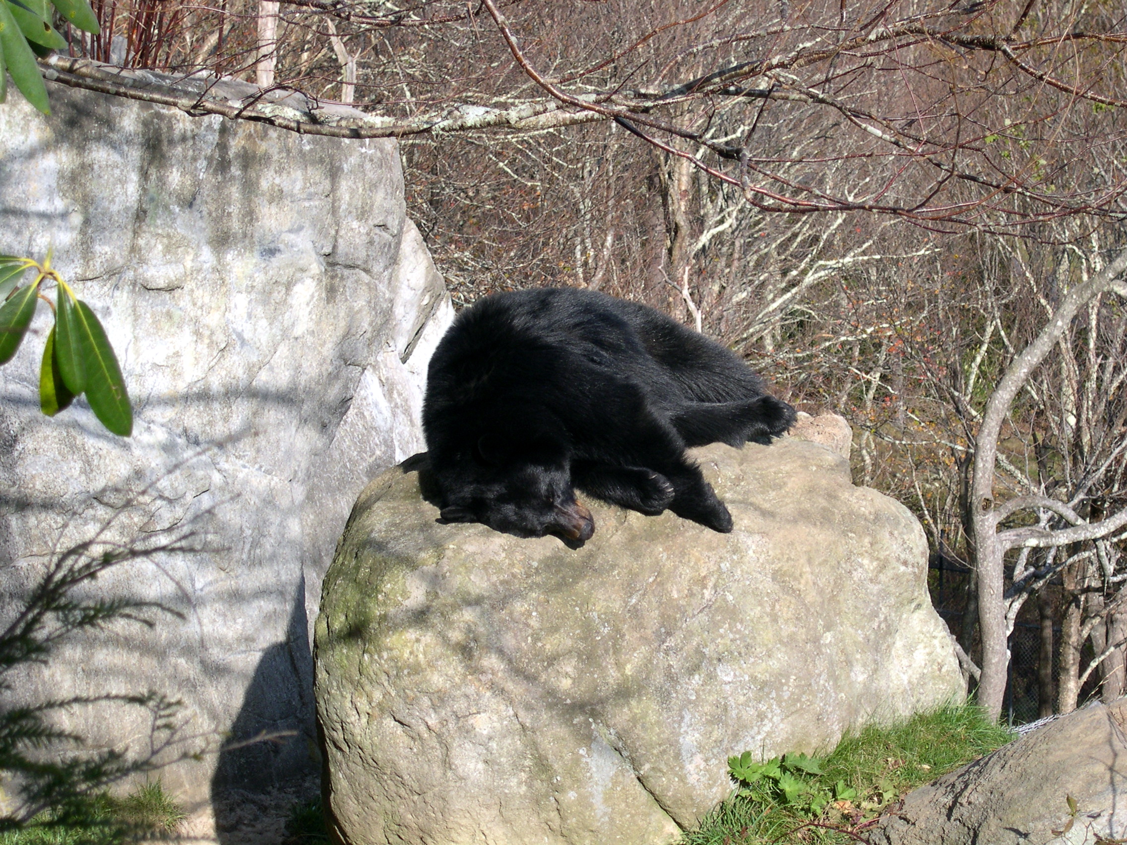This one probably just ate too much.