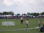 sheep herding (4)