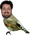 me, with a finch for a body