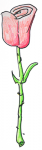 the rose I drew for Cynthia