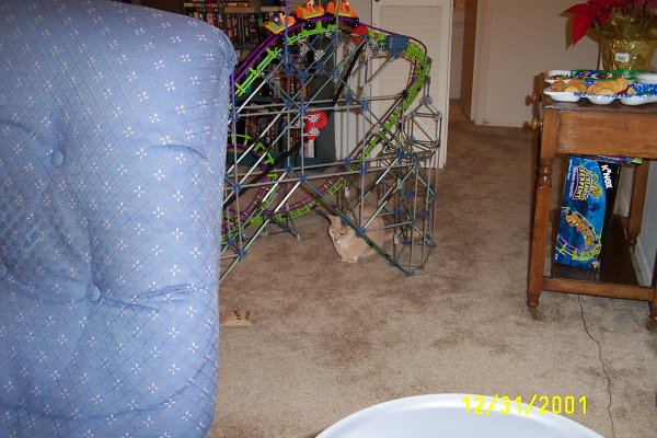 Puff hiding in the rollercoaster