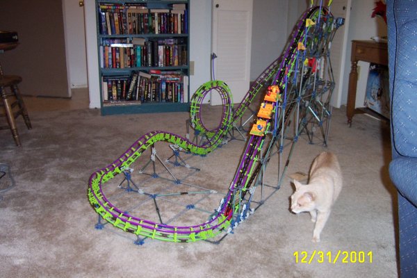 Look out!  There's a giant cat attacking the coaster!
