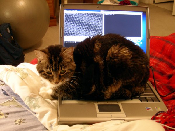 No, really, Squeak *on* the computer
