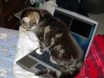 Squeak typing