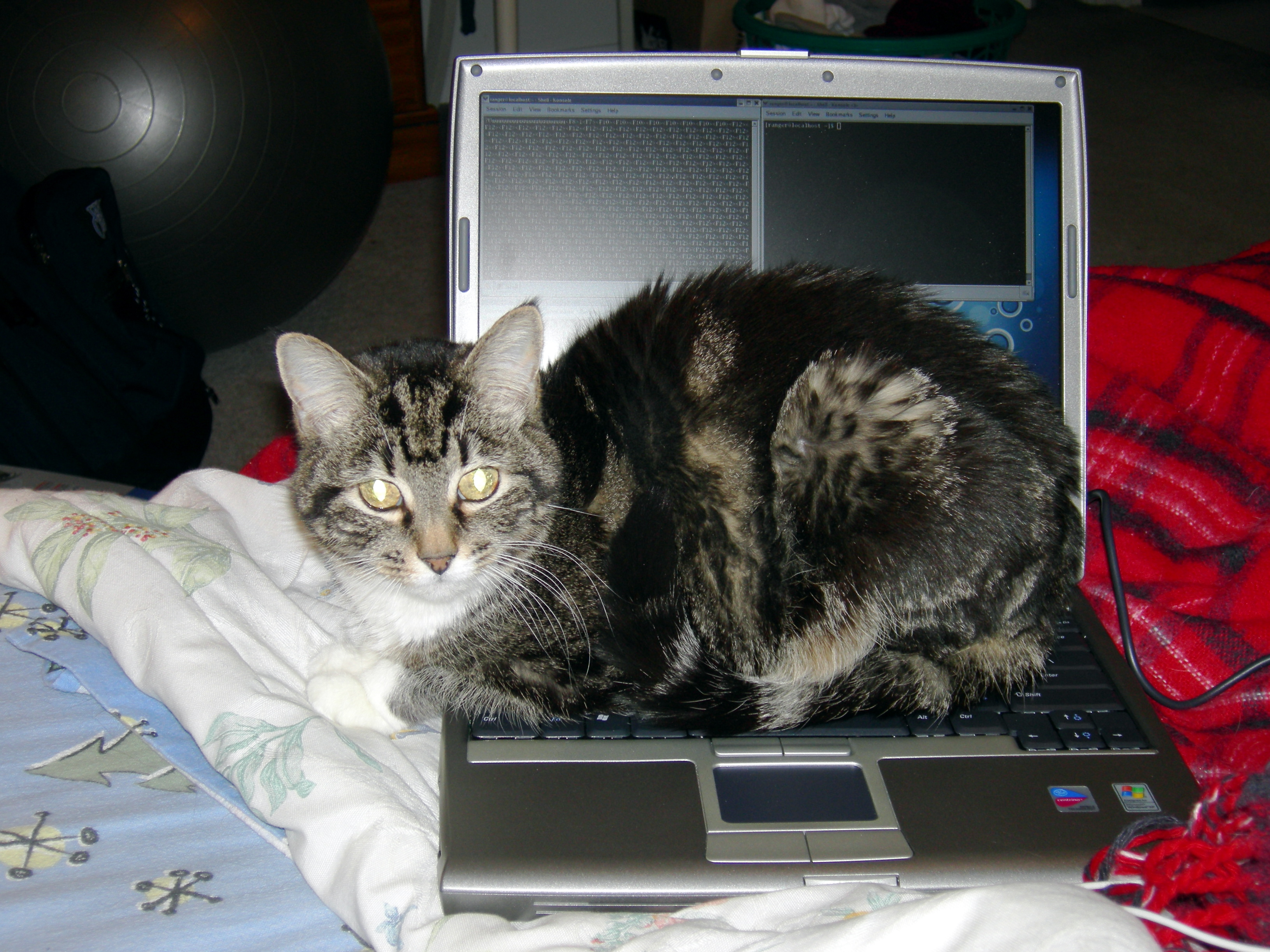 Squeak on the computer