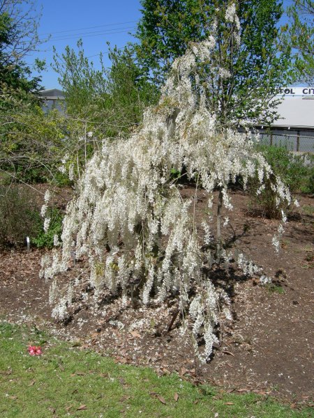 DSCN0277