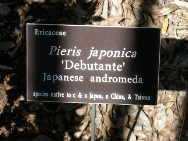 DSCN0299