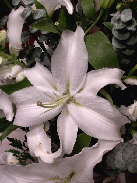 white arrangement (3)