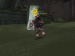Dancin' Bears!