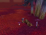 Oh.  Oh, that poor bear.  Look away!